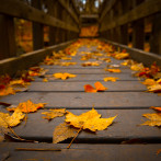 September Ends